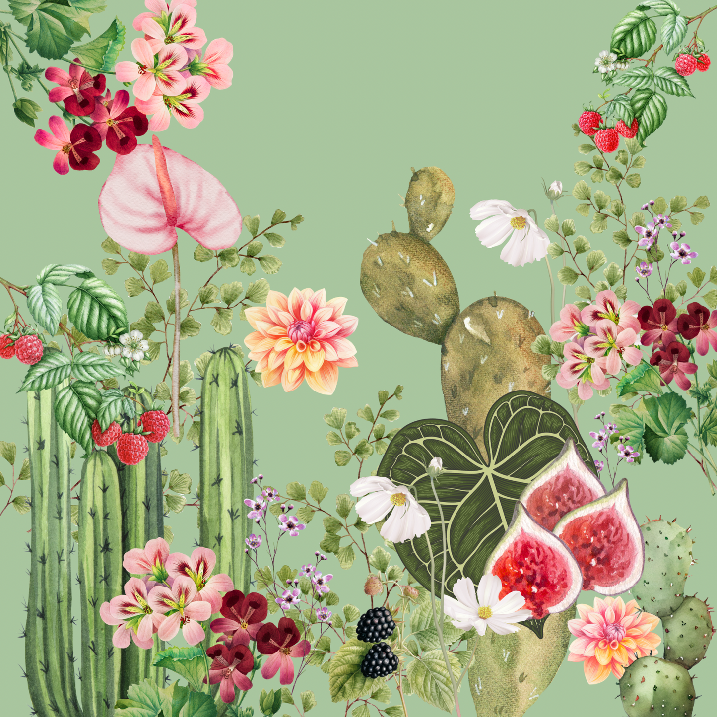 Greeting Card