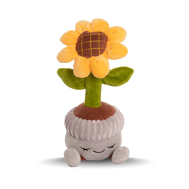 Sunflower Teddy