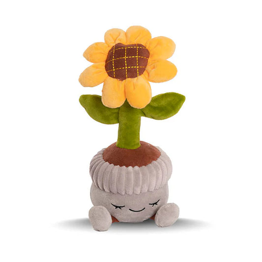Sunflower Teddy