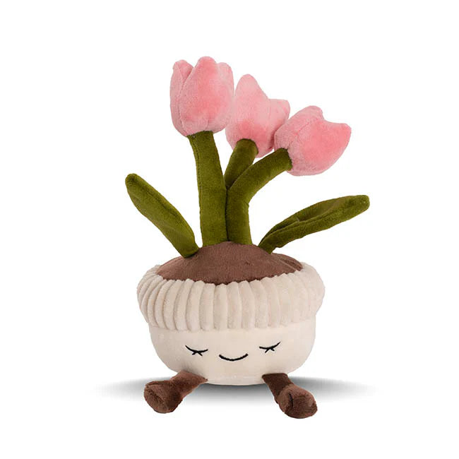 Tulip Teddy