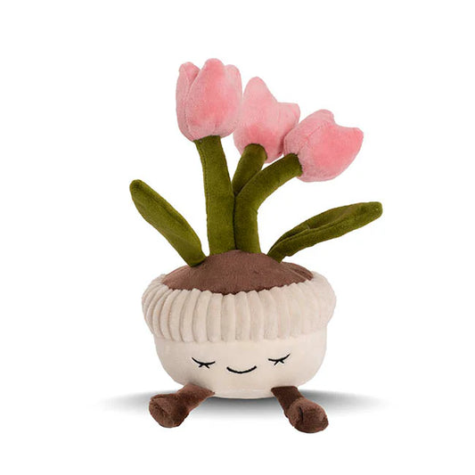Tulip Teddy